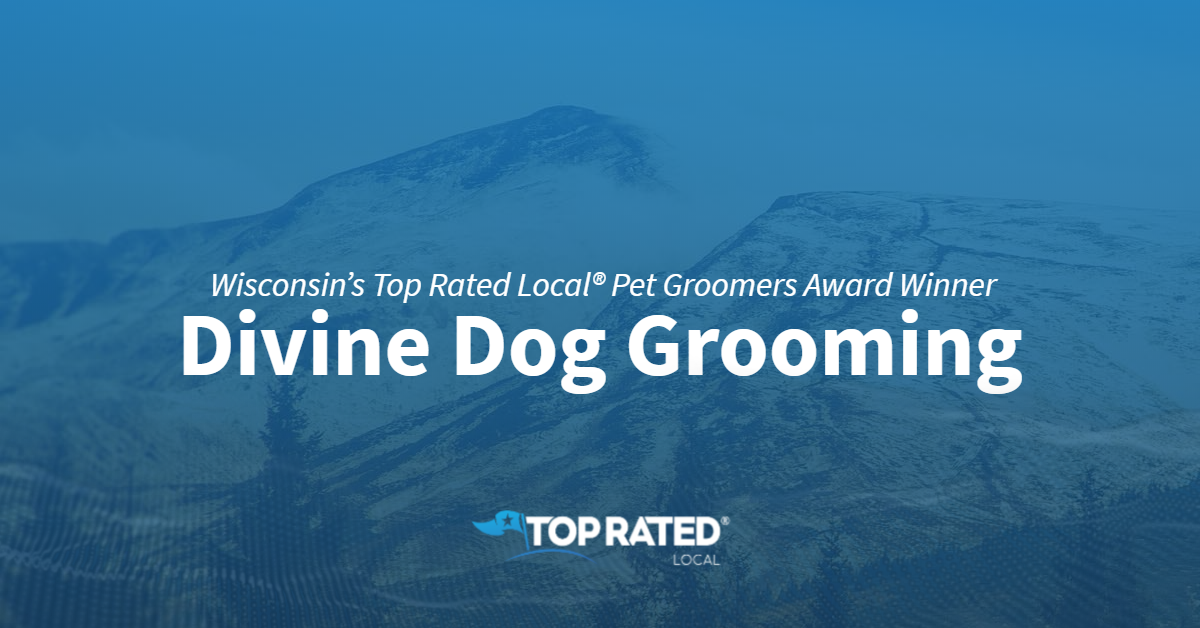 divine dog grooming salon