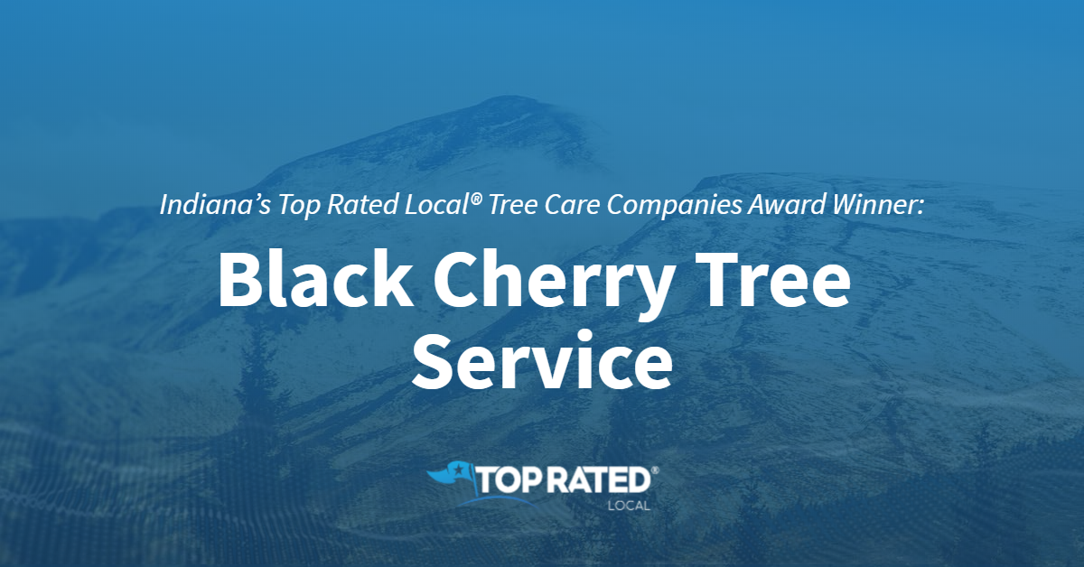 Tree Care Company Archives Top Rated Local Blog