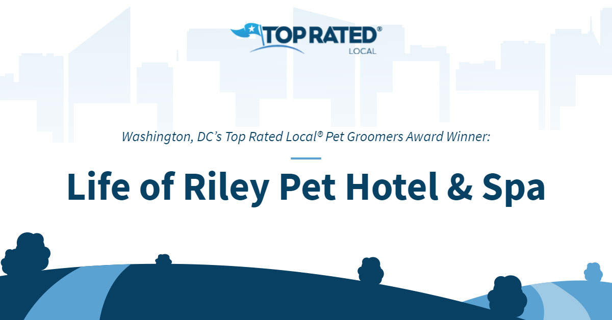 life of riley pet hotel & spa