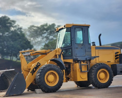 XCMG ZL30BR - 16/16