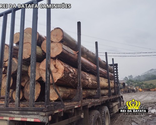 Multimarcas Florestal - 10/10