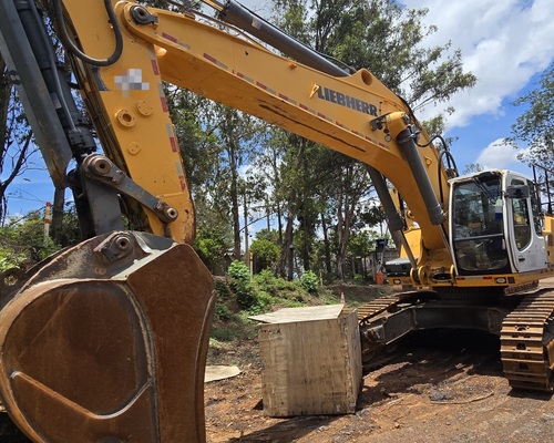 Liebherr 954 - 20/20