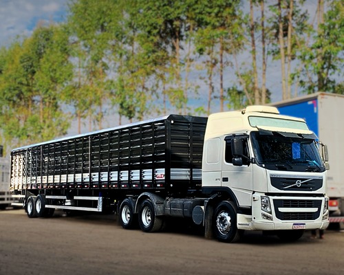 Frota Brasil Carreta Boiadeira 2 eixos baixa - 26/26