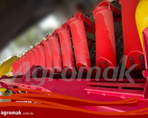 Vence tudo Milho - 21/21