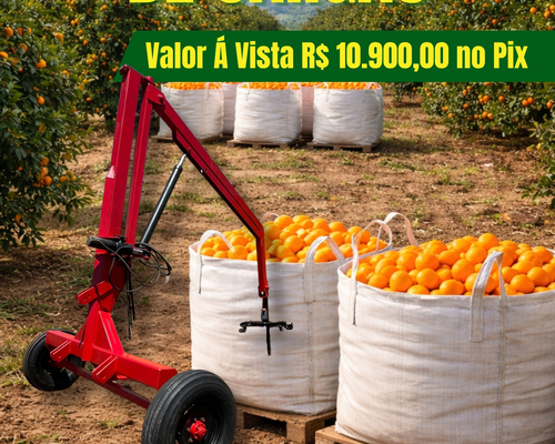 Tatu GATG-BR - 03/03