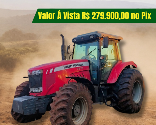 Massey Ferguson 7219 - 18/18