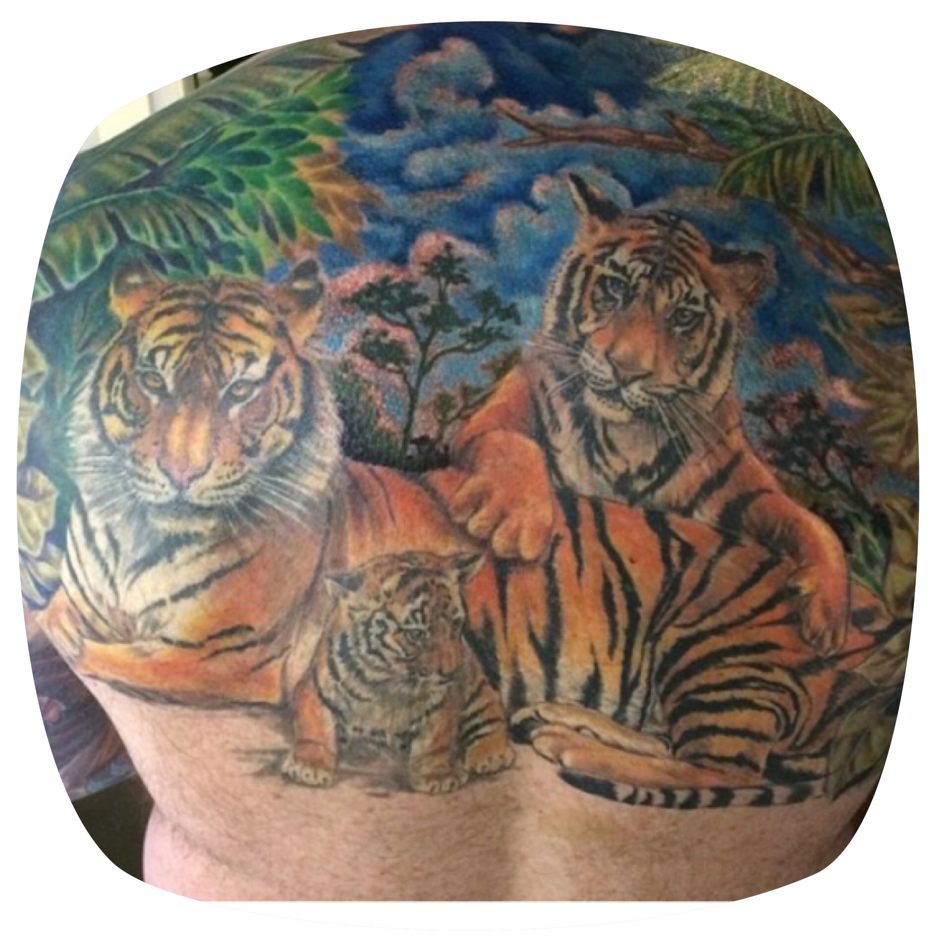 Awesome Tiger Family Tattoo