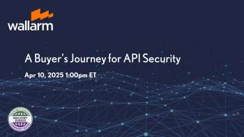 Wallarm: Understanding the Path to Effective API Security Solutions