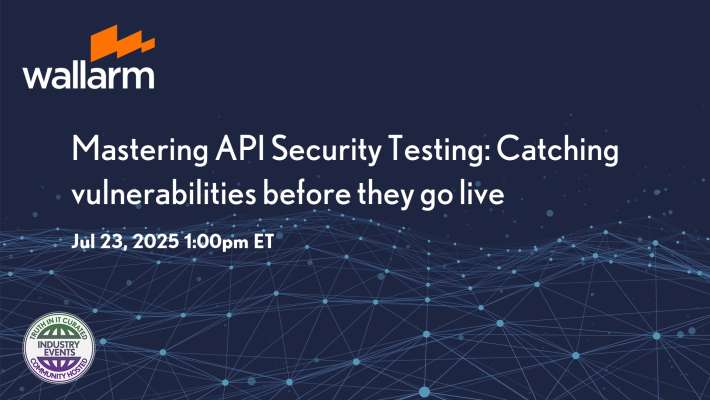 Wallarm: Enhancing API Security Testing: Identifying Vulnerabilities Ahead of Deployment