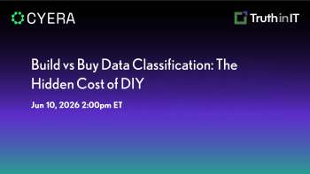 Assessing the True Costs of DIY Data Classification vs. Purchasing Solutions