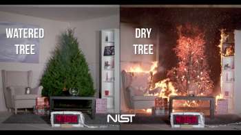 Christmas Tree Fire: Watered Tree vs. Dry Tree