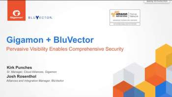 Providing Pervasive Visibility and Comprehensive