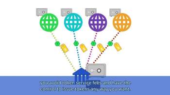 Token Service Provider (subtitled)