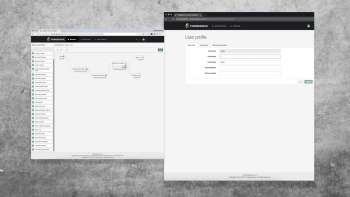 Balancing security and customer experience with fine