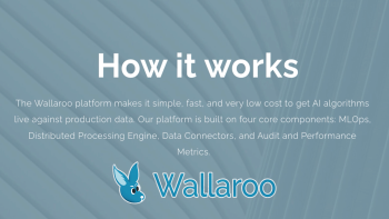 360View Episode 3: Wallaroo