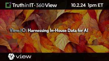 View.IO: Harnessing In-House Data for AI