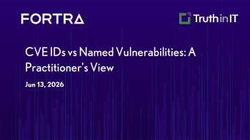 CVE IDs vs Named Vulnerabilities: A Practitioner's View