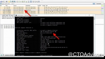 AWS ARP Wire Capture - Network Deep Dive