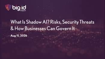 BigID: Shadow AI Risks & Governance Strategies for Enterprises