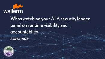Wallarm: AI Runtime Visibility & Accountability Panel
