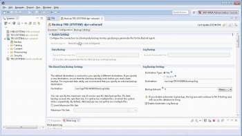 Pseudo Client Configuration and Streaming Backup Video