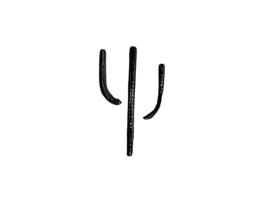 Saguaro Lake Guest Ranch