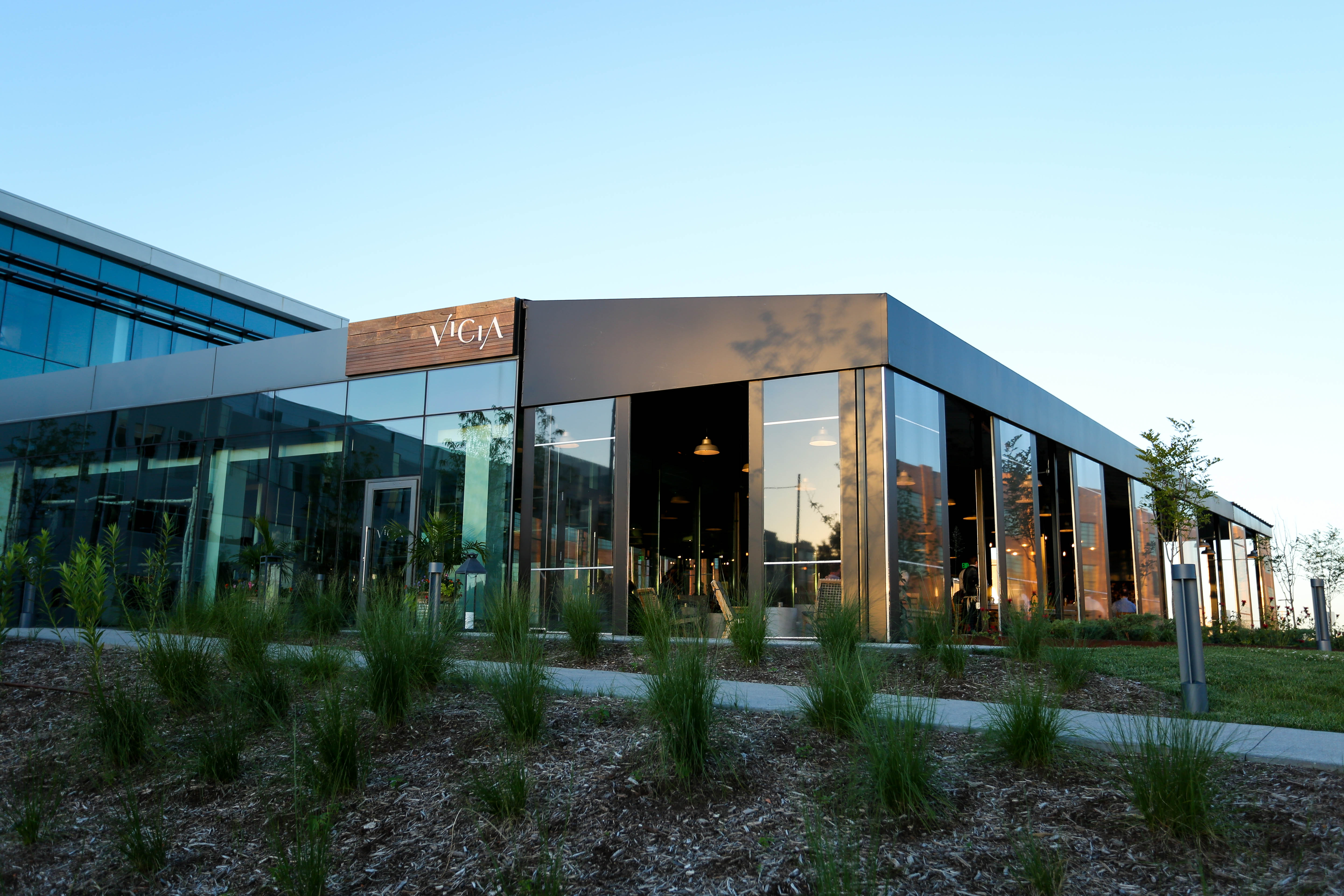 Vicia St.Louis private dining, rehearsal dinners & banquet halls