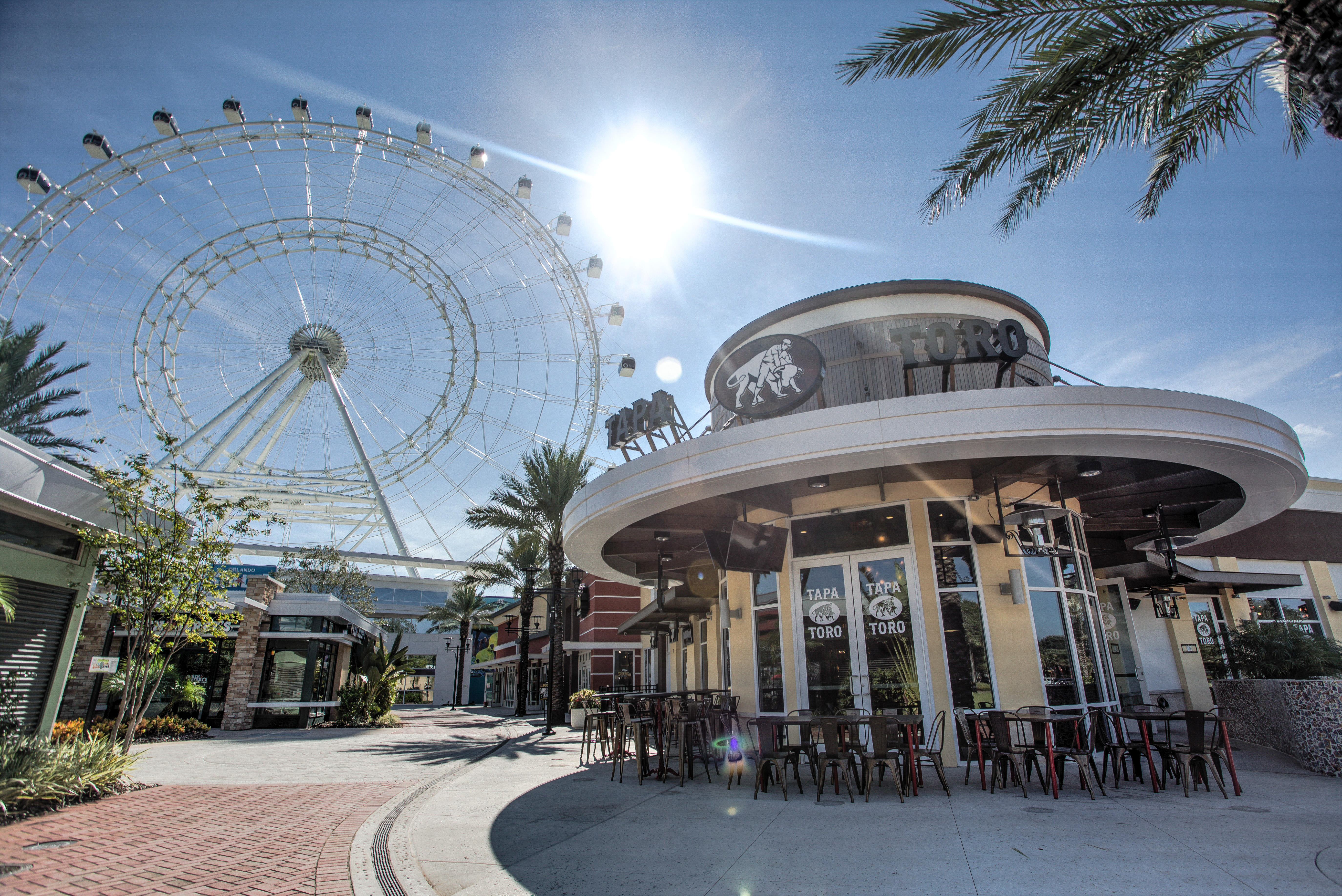 Tapa Toro Tapas Bar & Paella Pit Orlando private dining, rehearsal