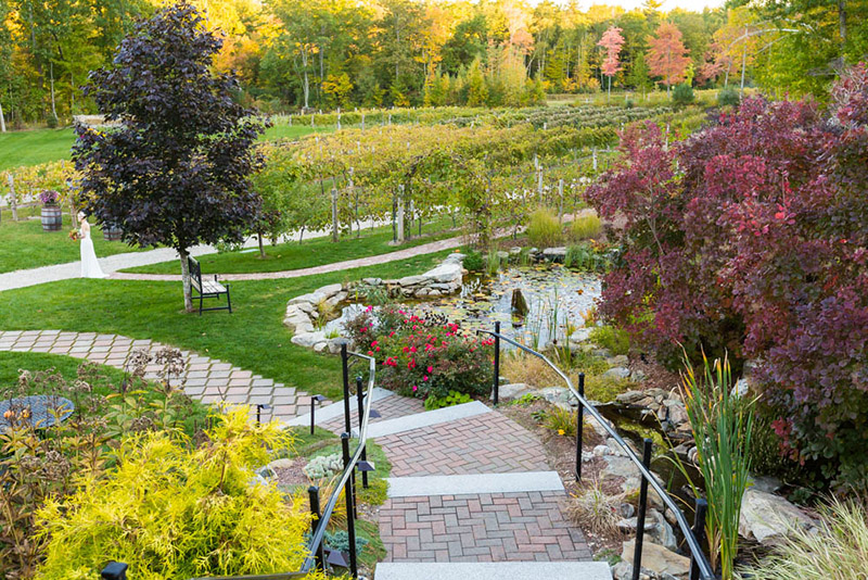 Zorvino Vineyards Sandown private dining, rehearsal dinners & banquet