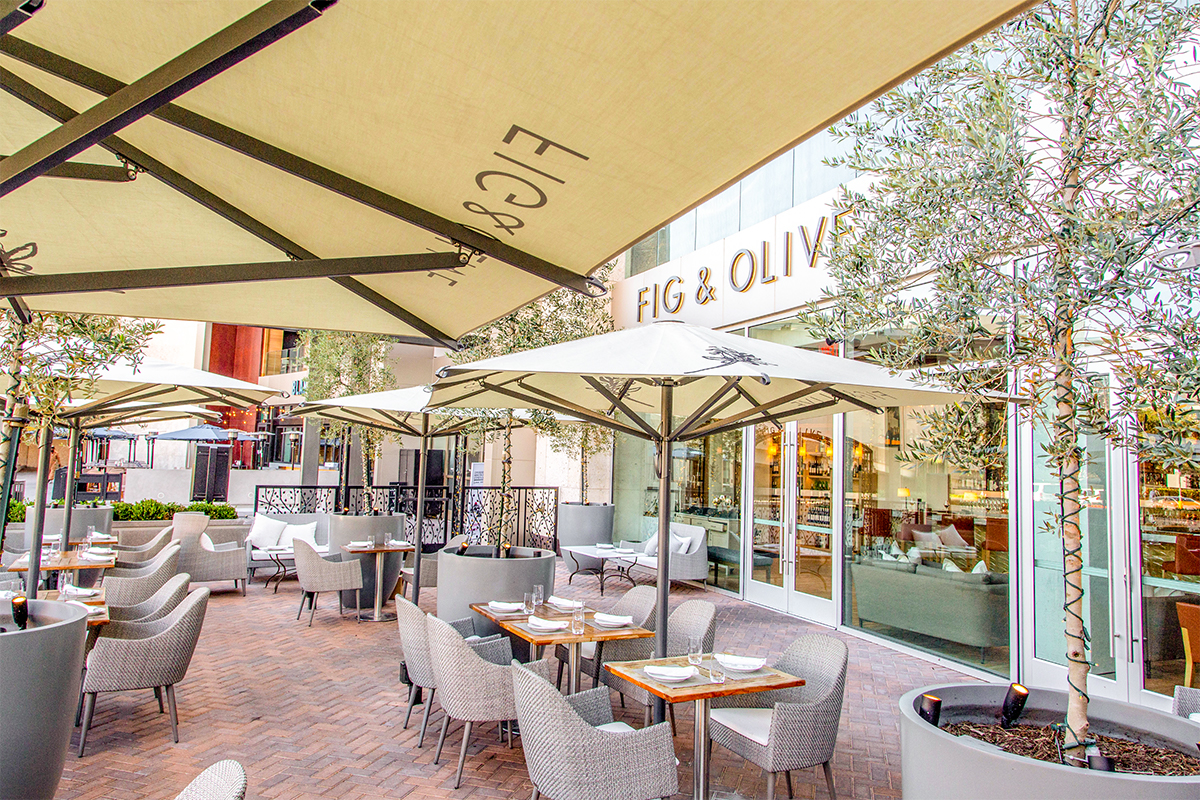 Fig & Olive Houston Houston private dining, rehearsal dinners