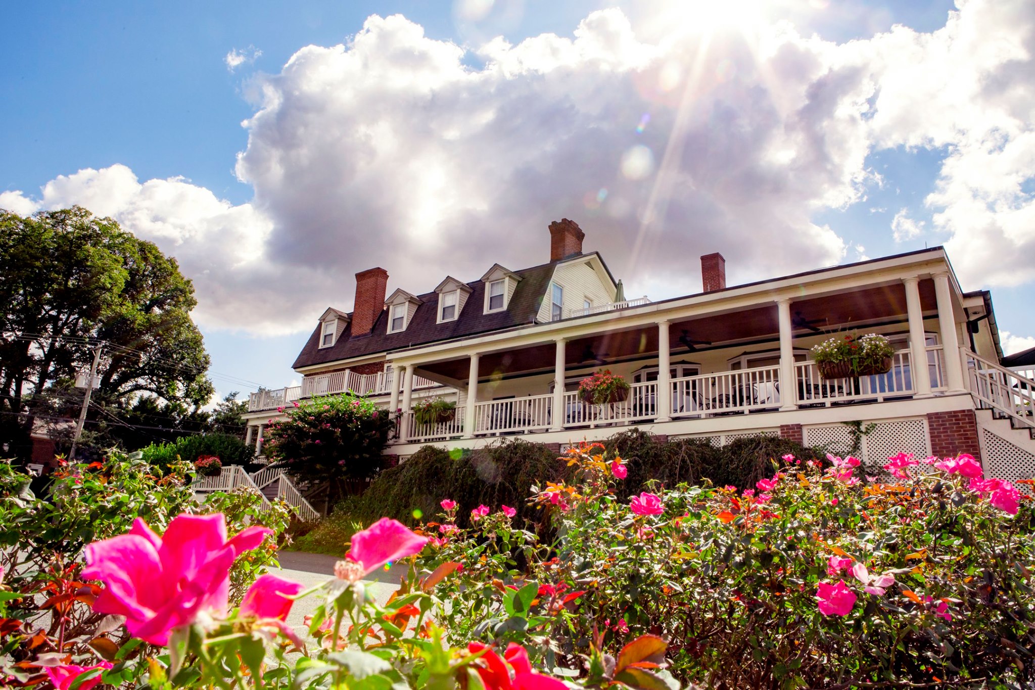 Deep Blue at Kitty Knight private dining, rehearsal