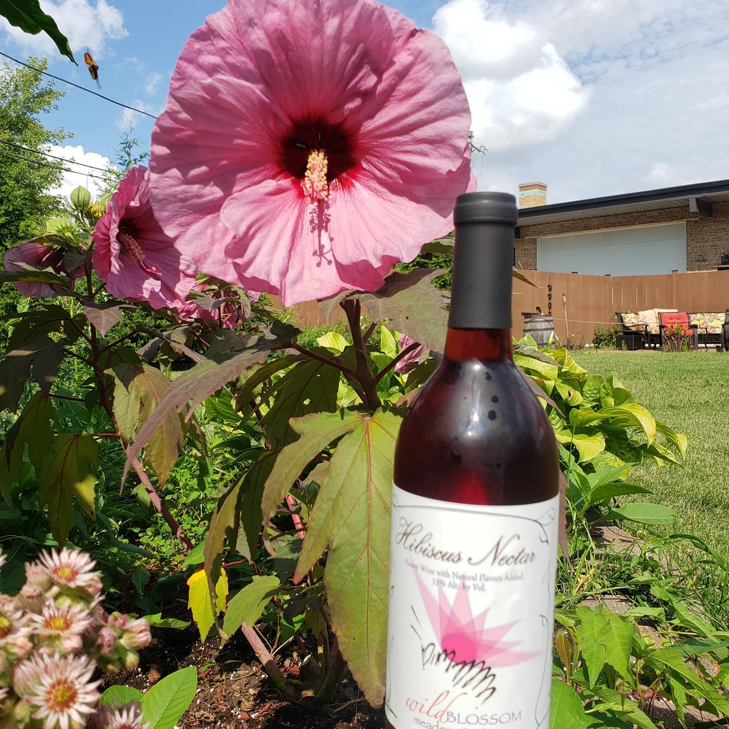 Wild Blossom Meadery Chicago private dining, rehearsal dinners