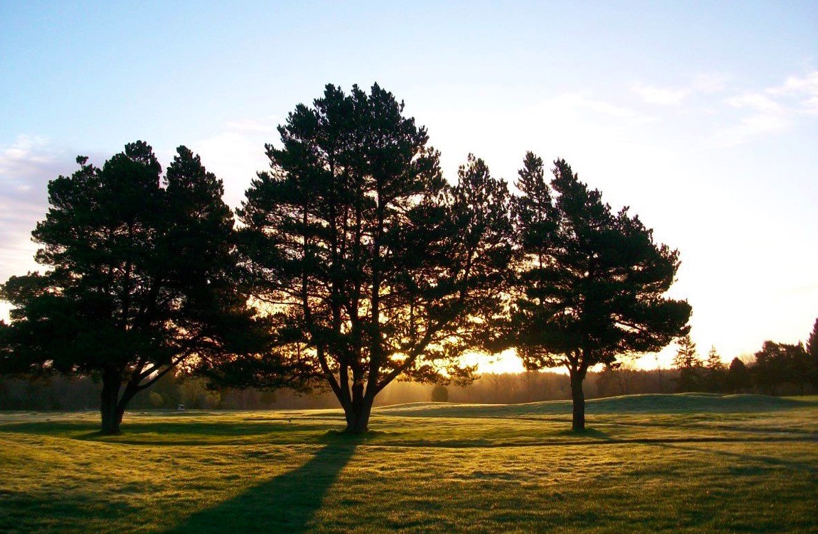 Meriwether National Golf Club Hillsboro private dining, rehearsal