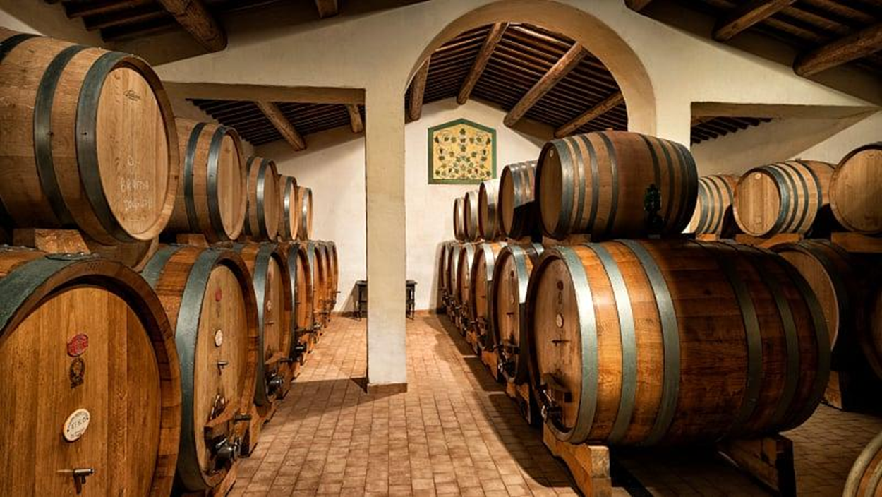 Tuscany wine region - rolling hills and vineyards