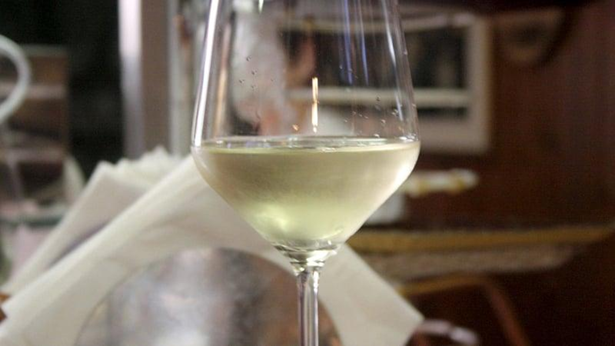 Umbria Italy - truffle hunting and wine