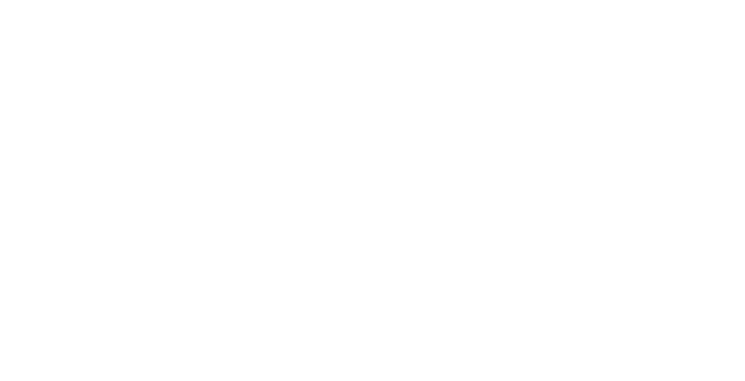 Stewart Travel Group