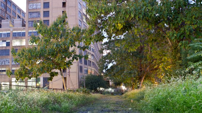 Reading Viaduct: present and future