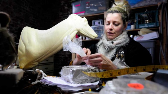 reimold02-web Taxidermist Beth Beverly works on her projects in a studio space in Philadelphia. Previous to owning the space, she worked out of her house, once skinning a goat in her bathtub. Beverly is now on the AMC show, “Immortalized.” | ABI REIMOLD / TTN