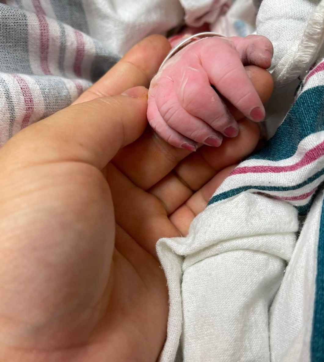 Kambree Grey Carman