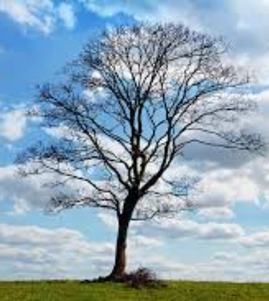 BrosmerKemple Funeral Home French Lick, IN