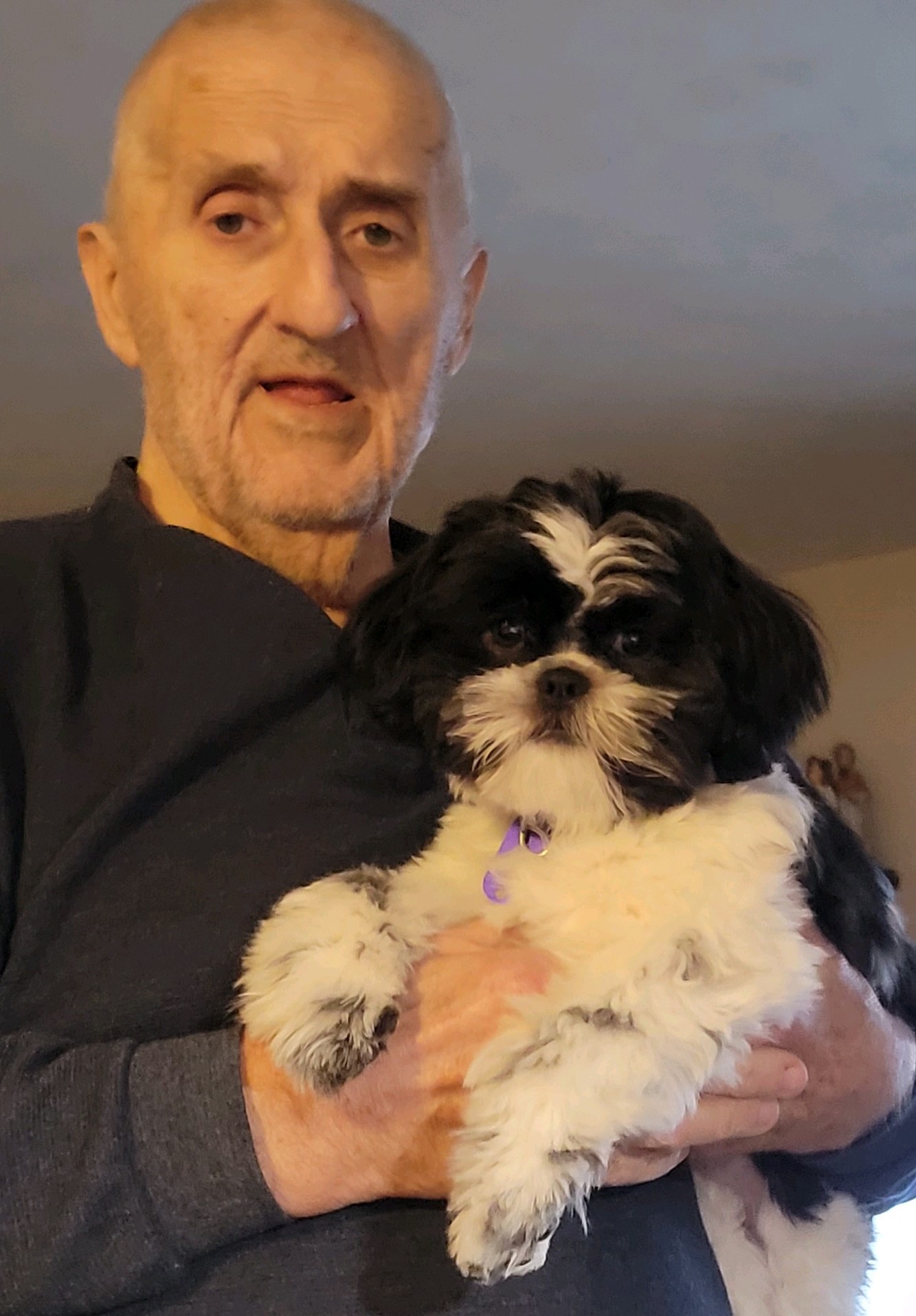 Thomas Thornton Obituary 2022 Taylor Theller