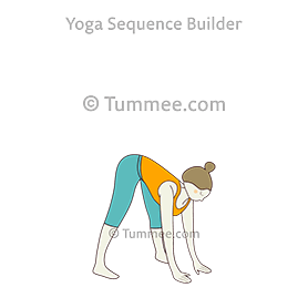 Prasarita Padottanasana Variations - 31 variations of ...