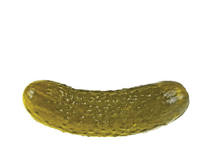 Pickle