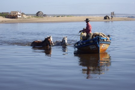 Caballos cruzando Arroyo Valizas