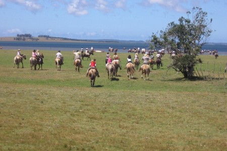 Cabalgatas por laguna de Rocha