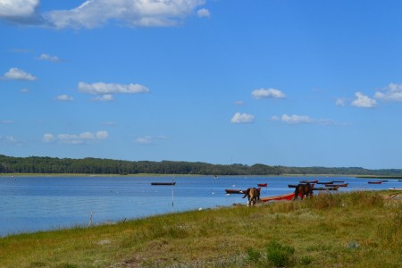 Barcas de pesca artesanal sobre la laguna