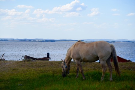 Calma en la Laguna de Rocha