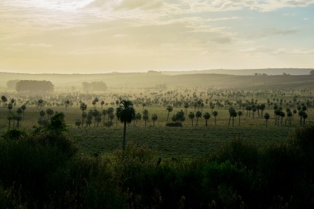 Palmares de Rocha: foto ganadora concurso en Instagram