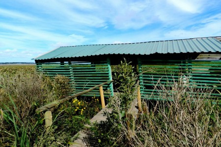 Observatorio de aves