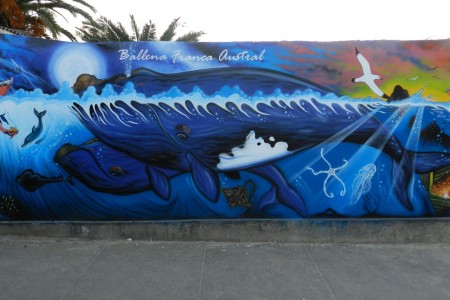 Mural sobre la Ballena Franca Austral en Castillos. Artista: Jhony López